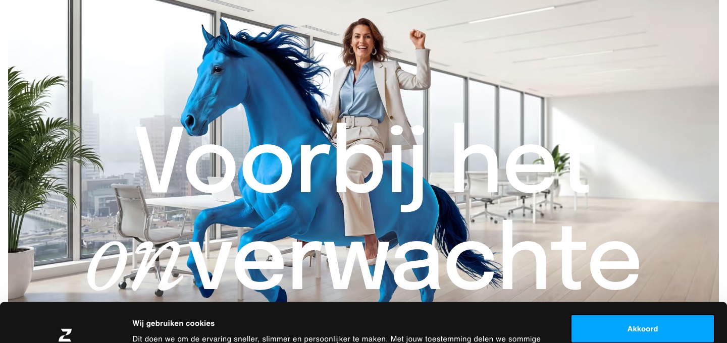 Homepage of zuid.com